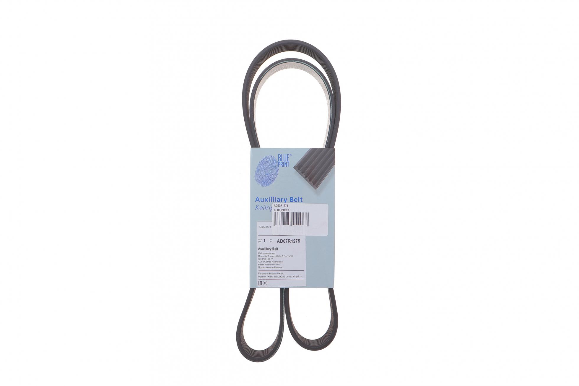 AD07R1275 BLUE PRINT